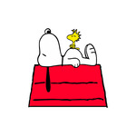 10/22 Reading - phpBB BIC3358